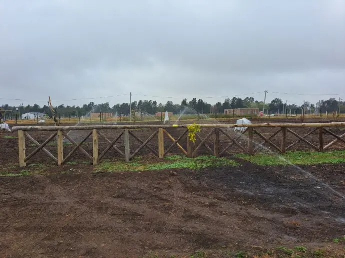 Riego con aspersores en la plata